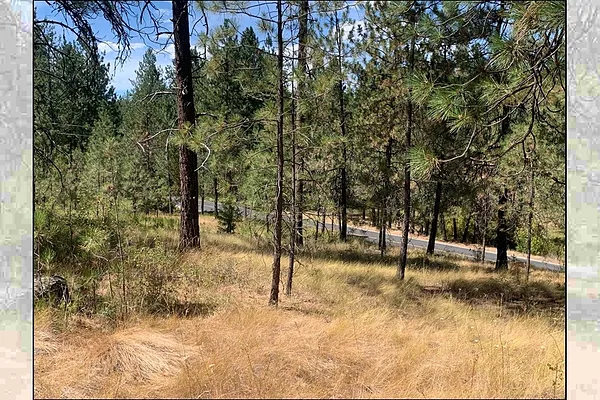 Property Photo MLS #: 202521720