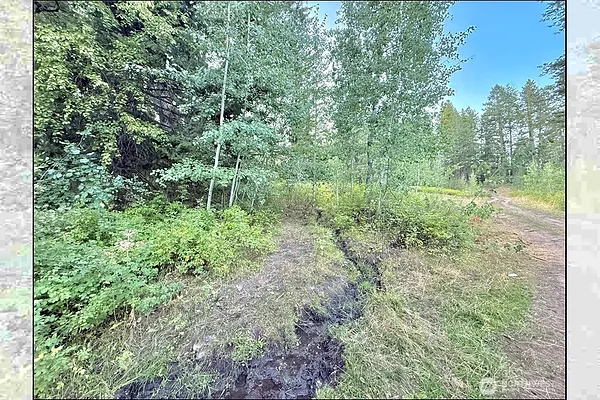 Property Photo MLS #: 2428723