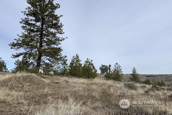 Property Photo MLS #: 2212730