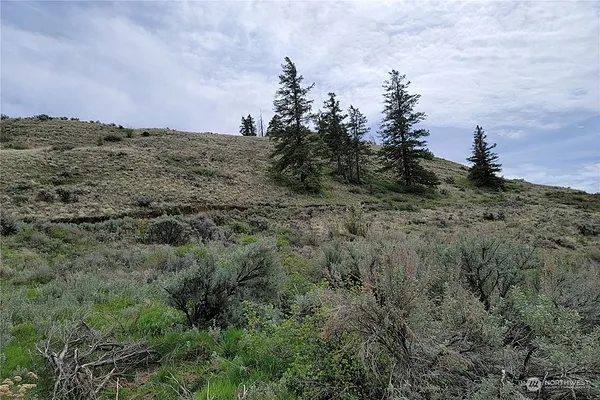 Property Photo MLS #: 2230744
