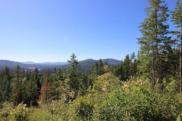 Property Photo MLS #: 202521747