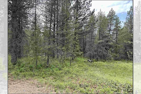 Property Photo MLS #: 202513748