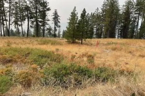 Property Photo MLS #: 202311750