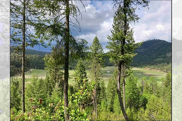 Property Photo MLS #: 202523751