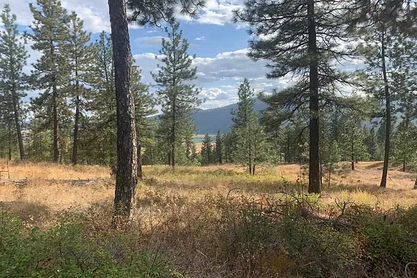 Property Photo MLS #: 202311753