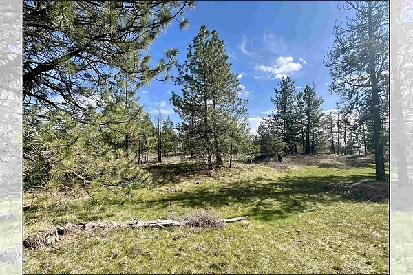 Property Photo MLS #: 202519758