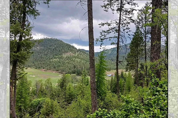 Property Photo MLS #: 202518766