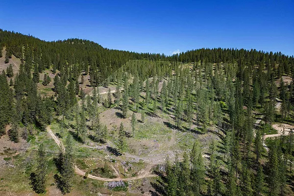 Property Photo MLS #: 202516768