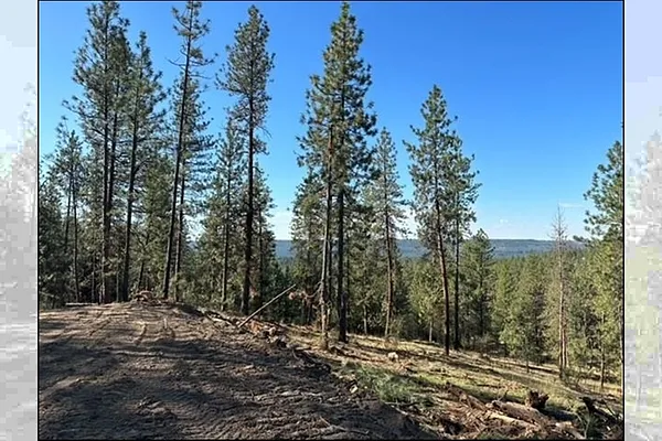 Property Photo MLS #: 202519770