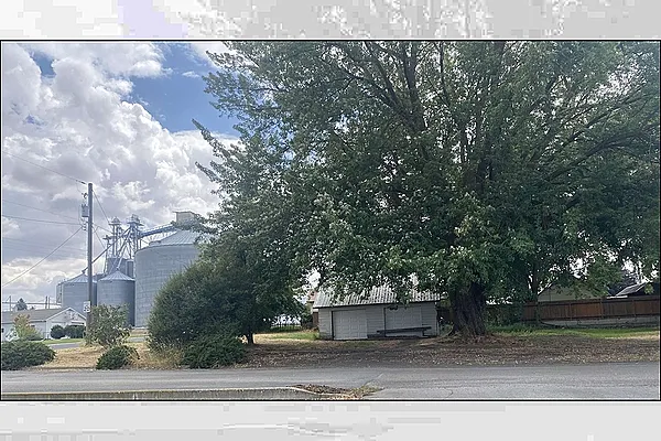 Property Photo MLS #: 202521770