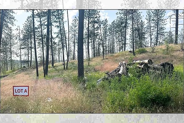 Property Photo MLS #: 202518775