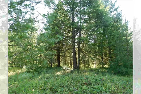 Property Photo MLS #: 202512783
