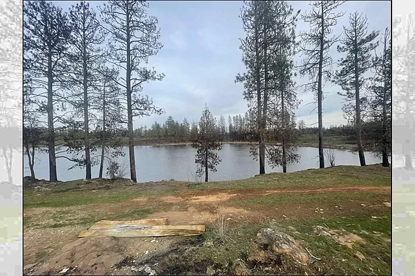 Property Photo MLS #: 202512788