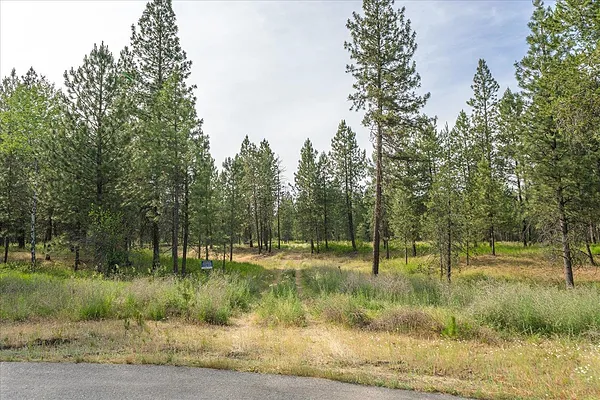 Property Photo MLS #: 202522793