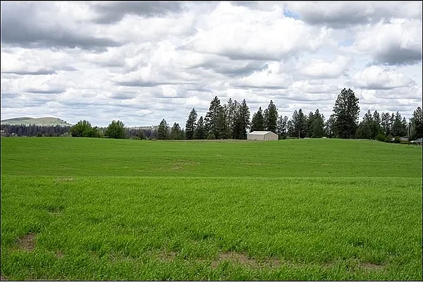 Property Photo MLS #: 202520818