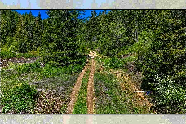 Property Photo MLS #: 202516828