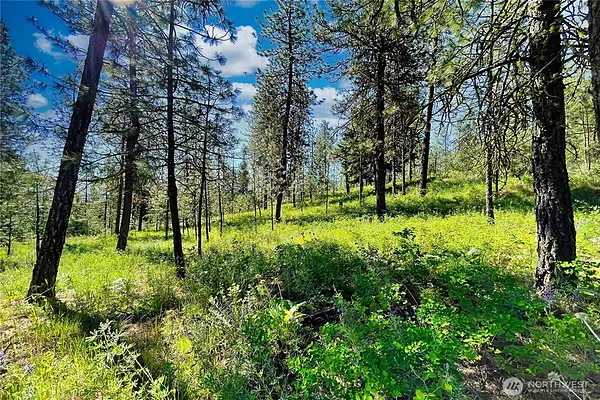 Property Photo MLS #: 2331834