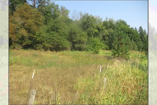 Property Photo MLS #: 202523835
