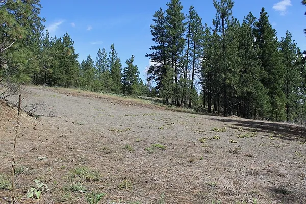Property Photo MLS #: 202511838