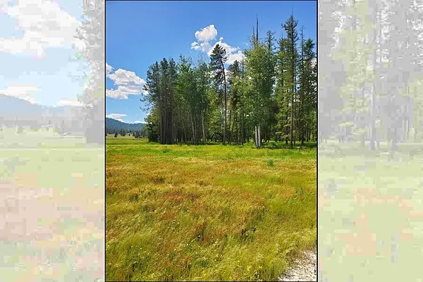 Property Photo MLS #: 202417851
