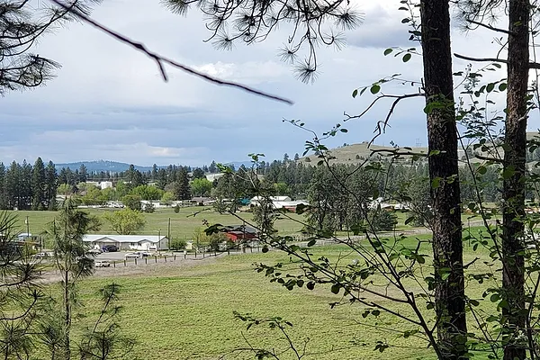 Property Photo MLS #: 202510855