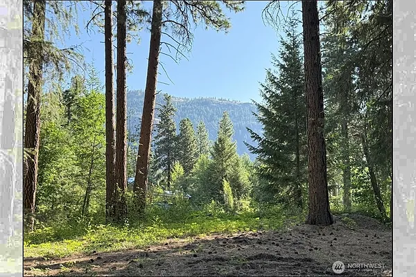 Property Photo MLS #: 2409863