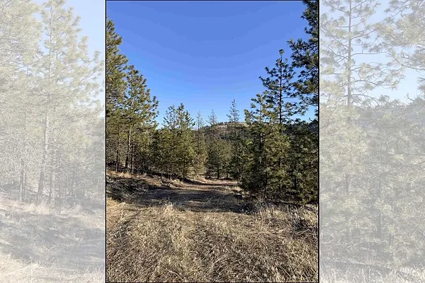 Property Photo MLS #: 202412868