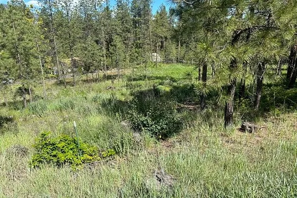 Property Photo MLS #: 202416869