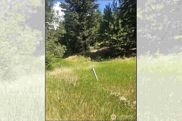 Property Photo MLS #: 2406873