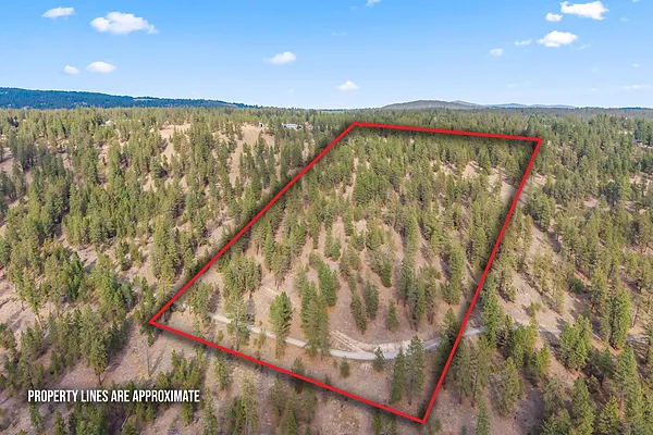 Property Photo MLS #: 202523874