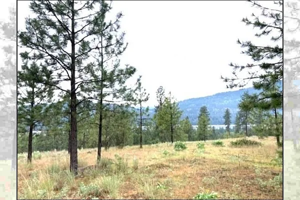 Property Photo MLS #: 202516881
