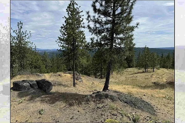 Property Photo MLS #: 202522883