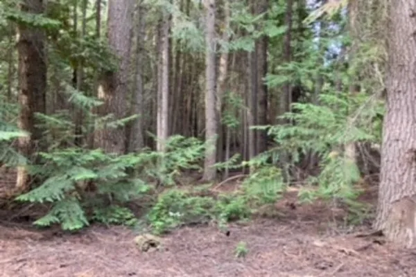 Property Photo MLS #: 202423888