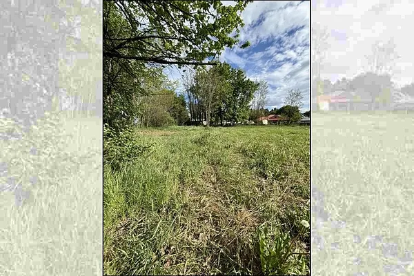 Property Photo MLS #: 202516890