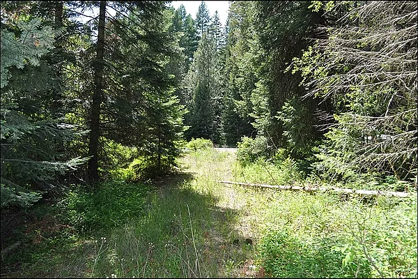 Property Photo MLS #: 202517900