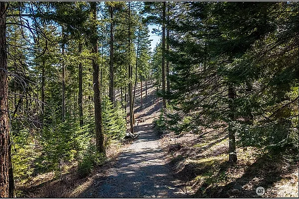 Property Photo MLS #: 2358900
