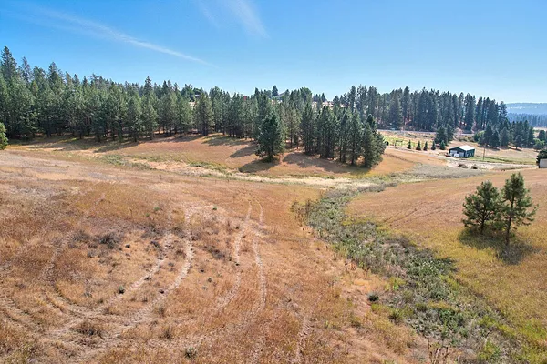 Property Photo MLS #: 202523906