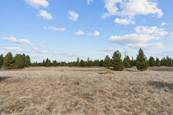 Property Photo MLS #: 202513910