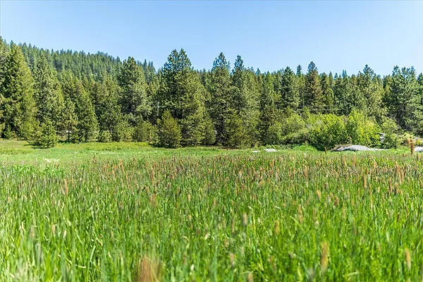 Property Photo MLS #: 202518913