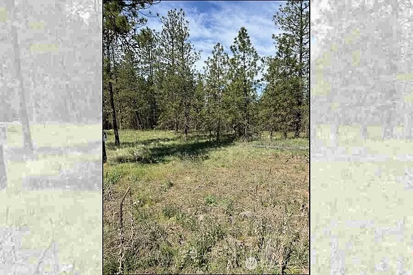 Property Photo MLS #: 2426919