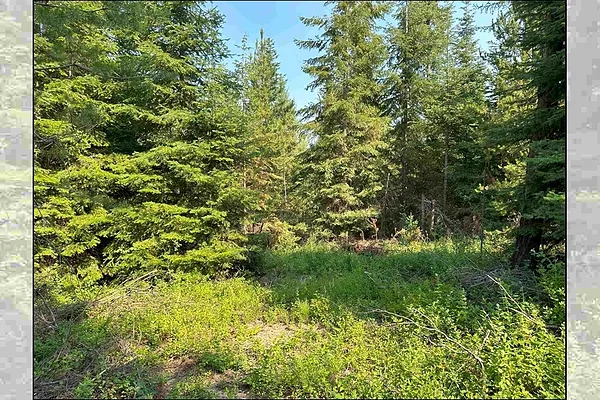 Property Photo MLS #: 202512924