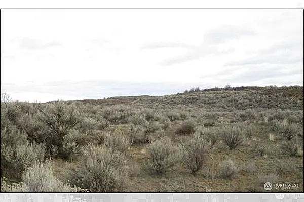 Property Photo MLS #: 2331926
