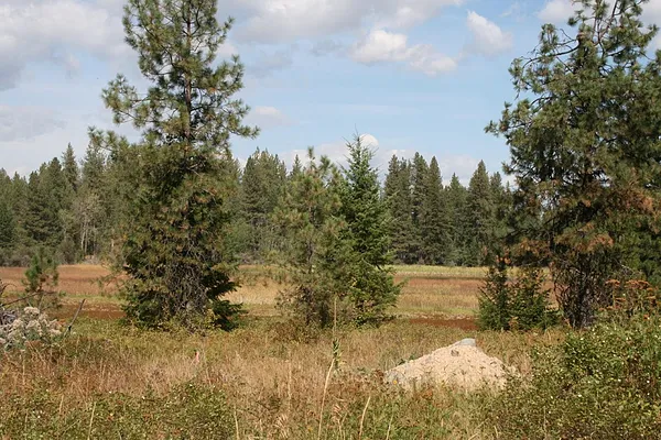 Property Photo MLS #: 202422936