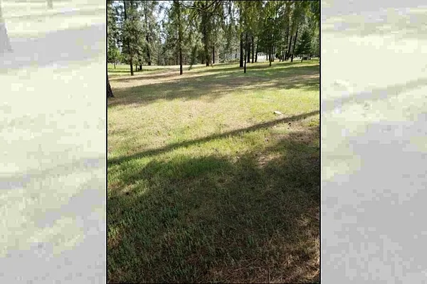 Property Photo MLS #: 202518939