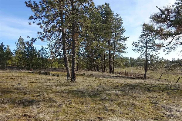Property Photo MLS #: 202515942