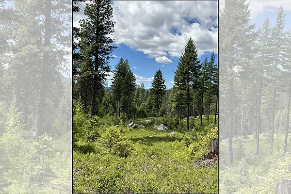 Property Photo MLS #: 202424951