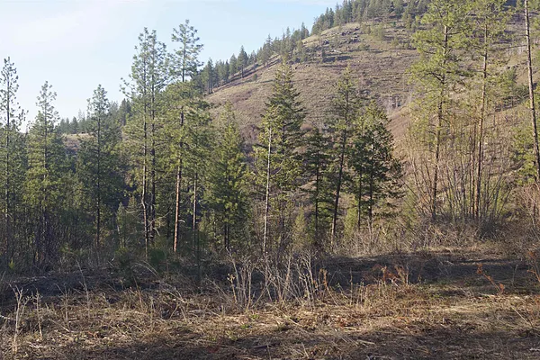 Property Photo MLS #: 202511953