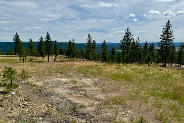 Property Photo MLS #: 202424954