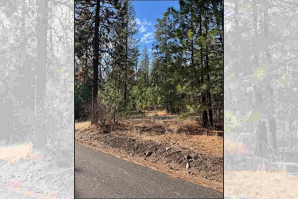 Property Photo MLS #: 202512957