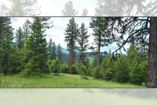 Property Photo MLS #: 2259957